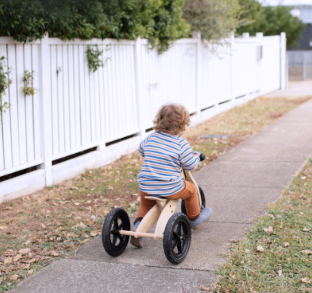 2 in 1 Balance Bike & Trike