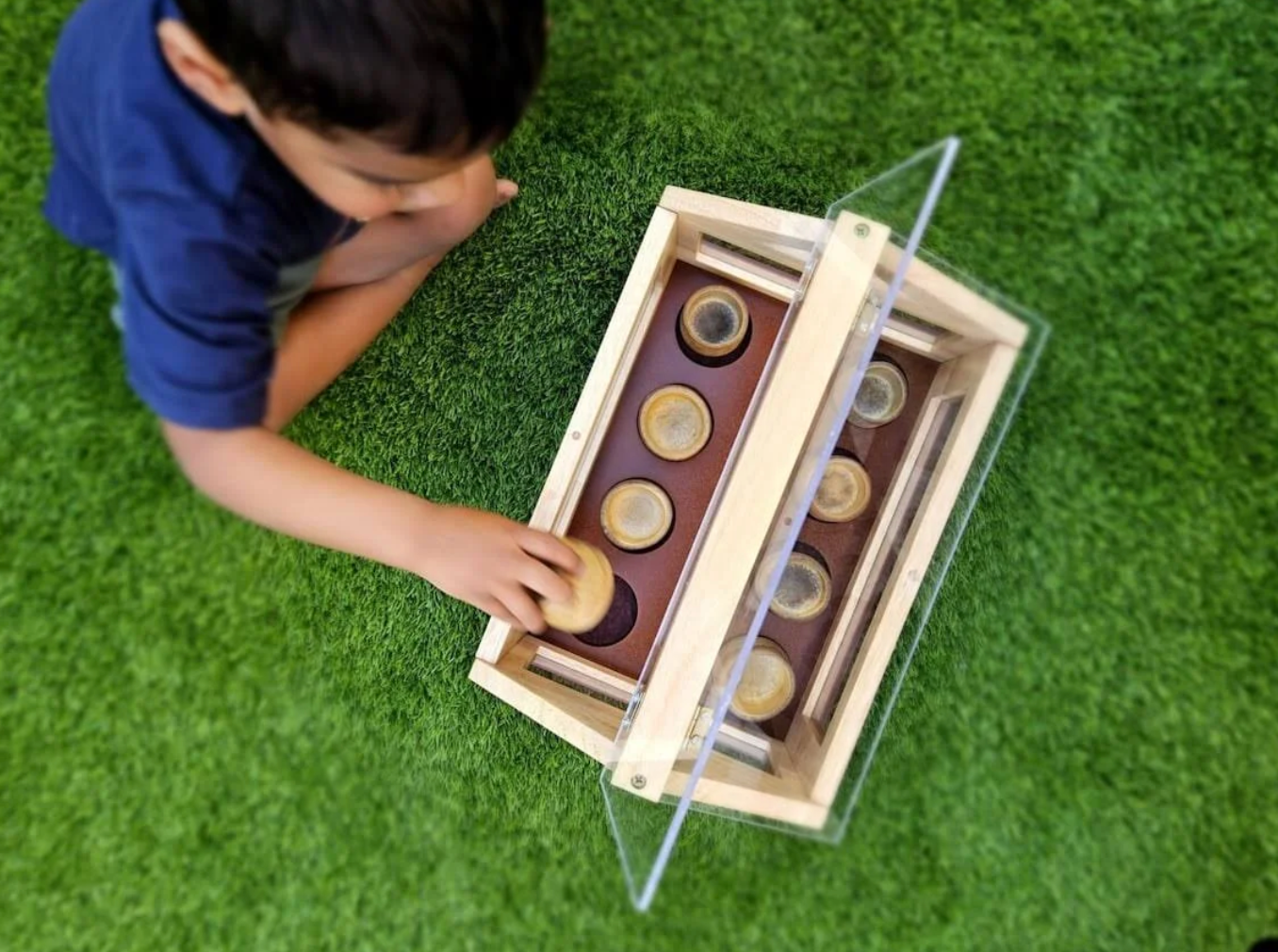 Wooden Mini Greenhouse